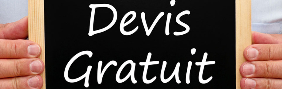 logo pt